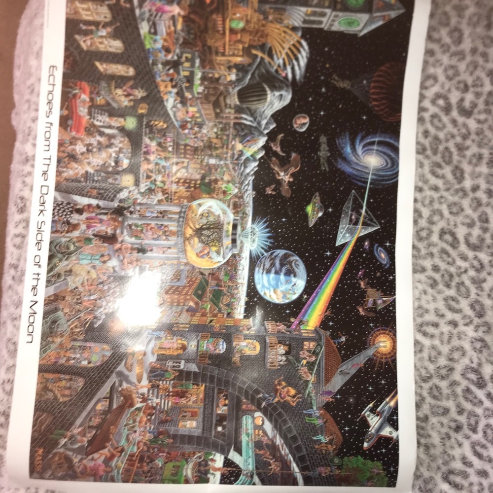 Echoes from the dark side of the moon Poster